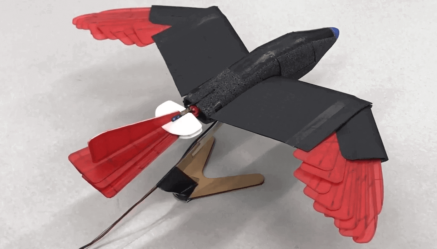 Робот-ястреб, который может летать на дальние расстояния
