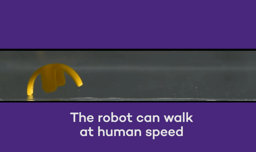 Миниатюрные роботы из воды и металла могут действовать как живые организмы