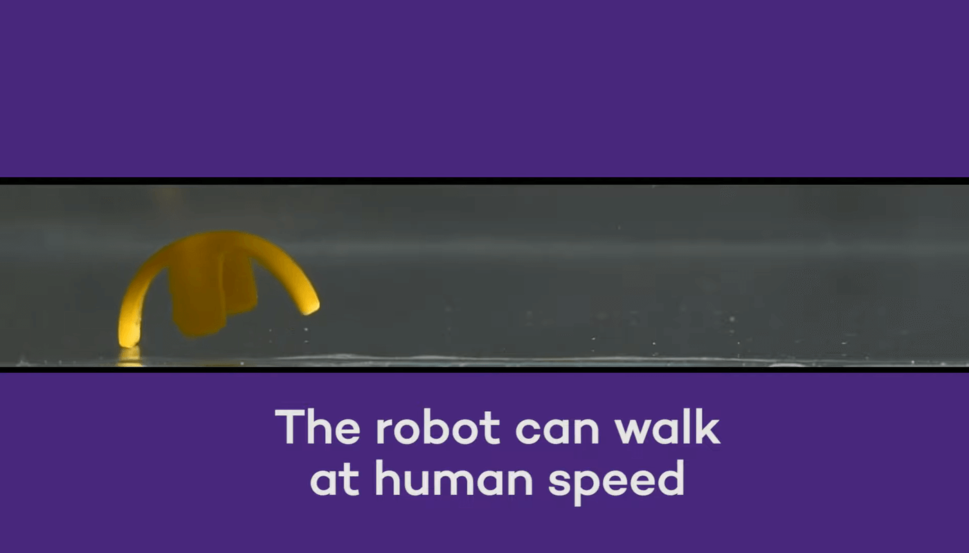 Миниатюрные роботы могут действовать как живые организмы