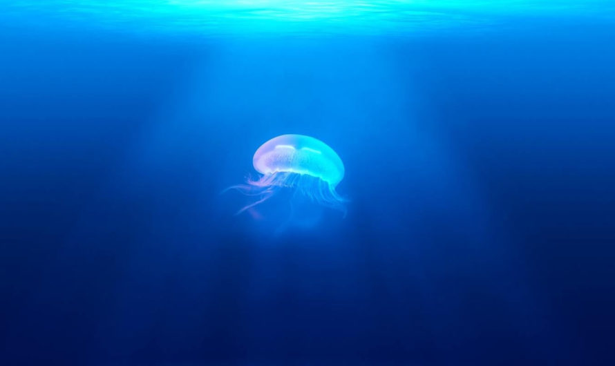 Инженеры создали робота-медузу