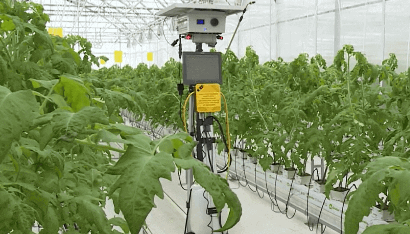 Защищать растения от вредителей будет робот