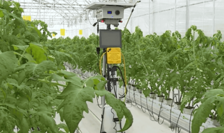 Защищать растения от вредителей будет робот