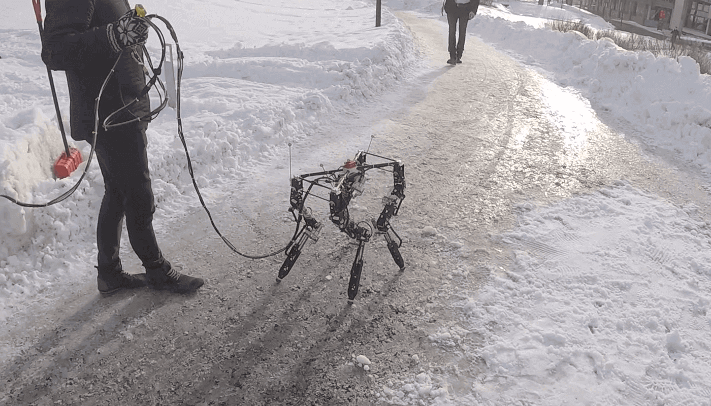 DyRET Dynamic Robot for Embodied Testing