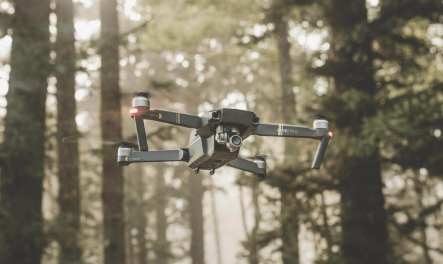 В Сибири начали использовать дроны с искусственным интеллектом для пресечения незаконных рубок леса