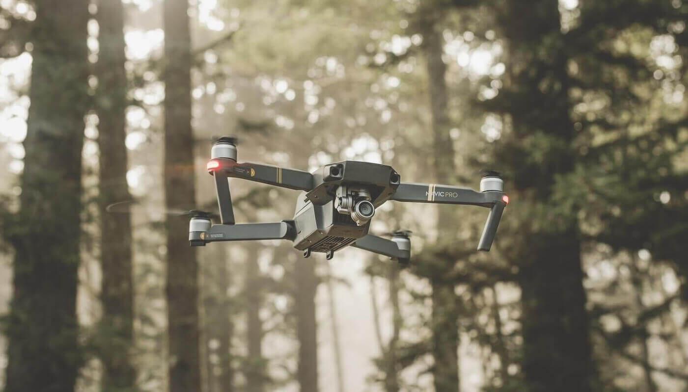 Незаконные рубки леса будут пресекать дроны с ИИ