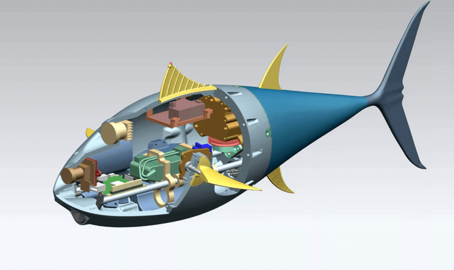 Российские учёные создали биоморфного подводного робота-тунца