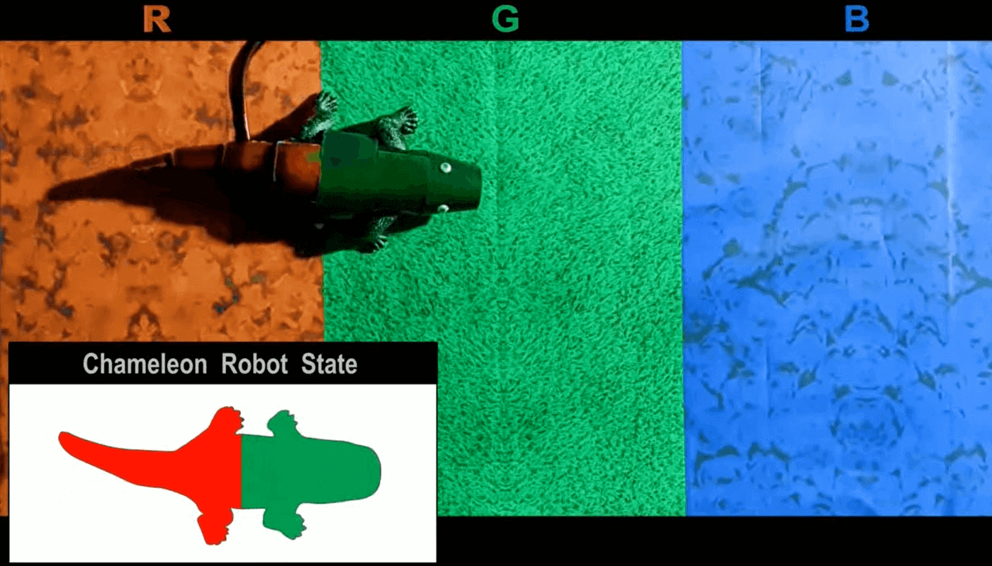 Chameleon robot