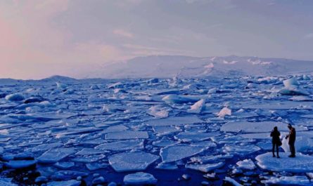 Исчезновение льда в Арктике предскажет ИИ
