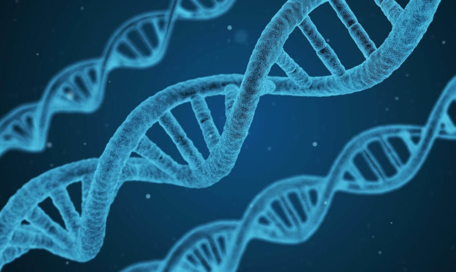 Искусственный интеллект научили определять генетические причины редких заболеваний