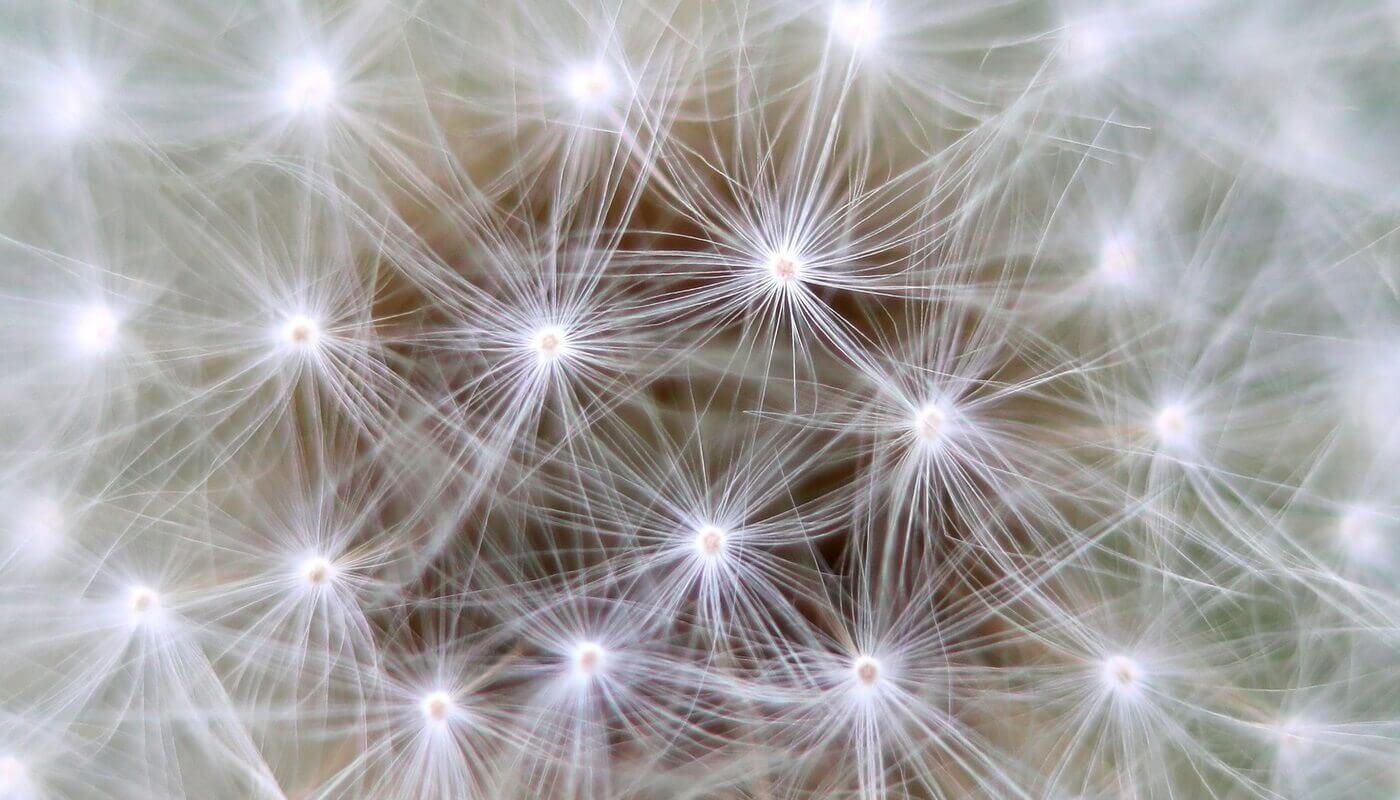 Сверхпроводниковый нейрон смоделировали учёные