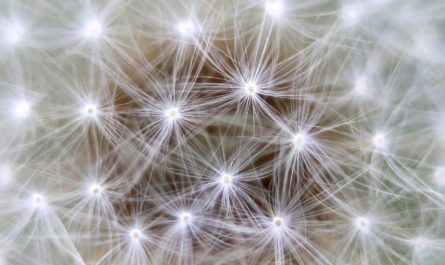 Сверхпроводниковый нейрон смоделировали учёные