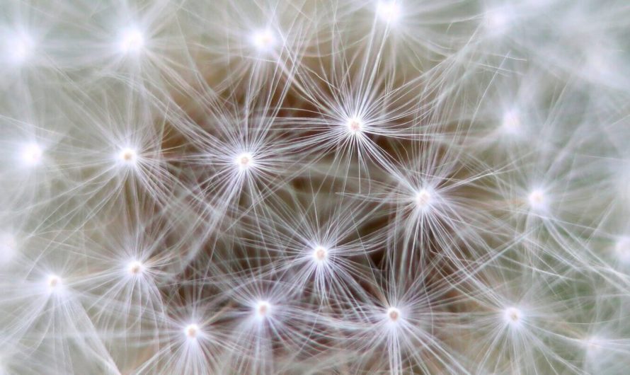 Учёные смоделировали сверхпроводниковый нейрон