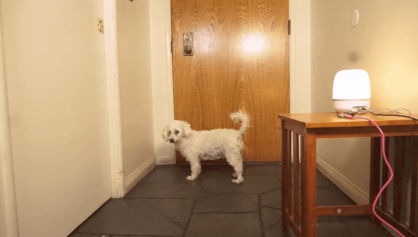 Using Machine Learning To Get Dog To Stop Barking