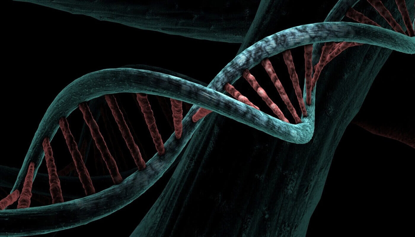 Новые лекарства РНК и ДНК ИИ
