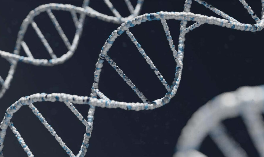 Нейросеть помогла изучить процесс восстановления ДНК