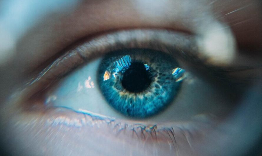 Нейросеть смогла определить заболевание артерий по снимкам глаза