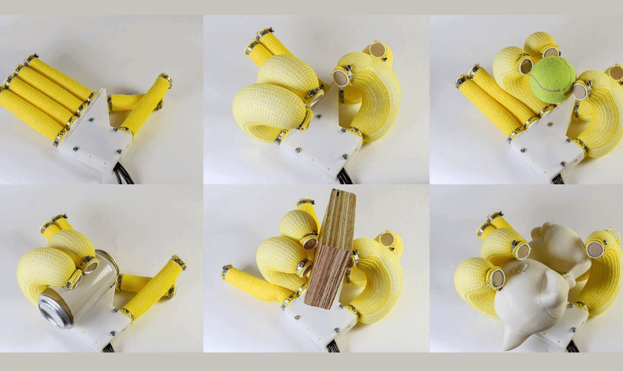 Учёные связали банановые «пальцы», которые пригодятся для роботов и для протезов