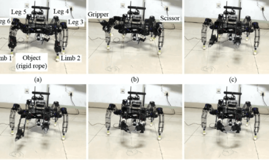Создан шестиногий робот, который ходит и хватает предметы каждой конечностью