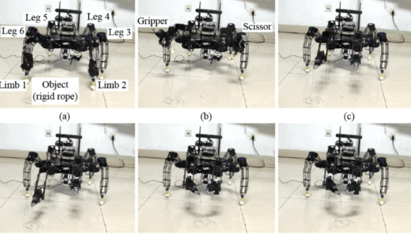 hexapod robot with legarm integration