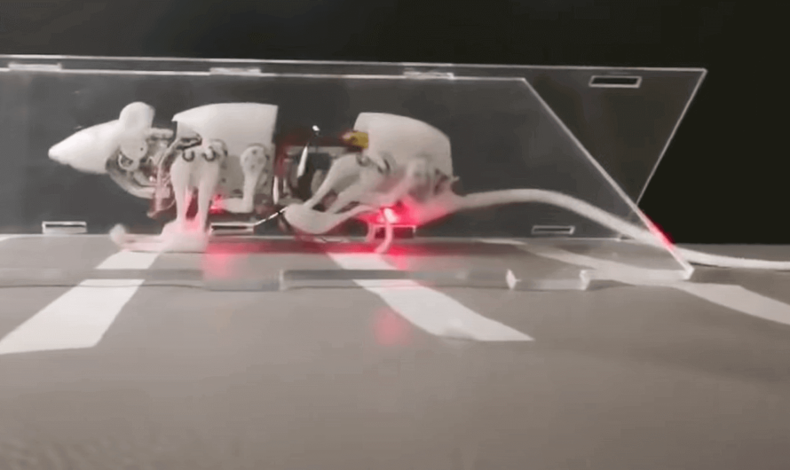 В Китае создали робота-крысу для поиска людей под завалами
