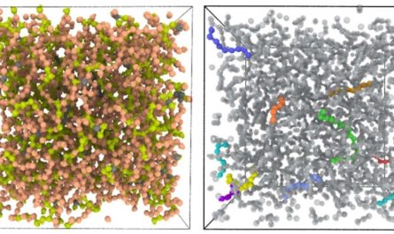 Molecular dynamics study with machine learning potential