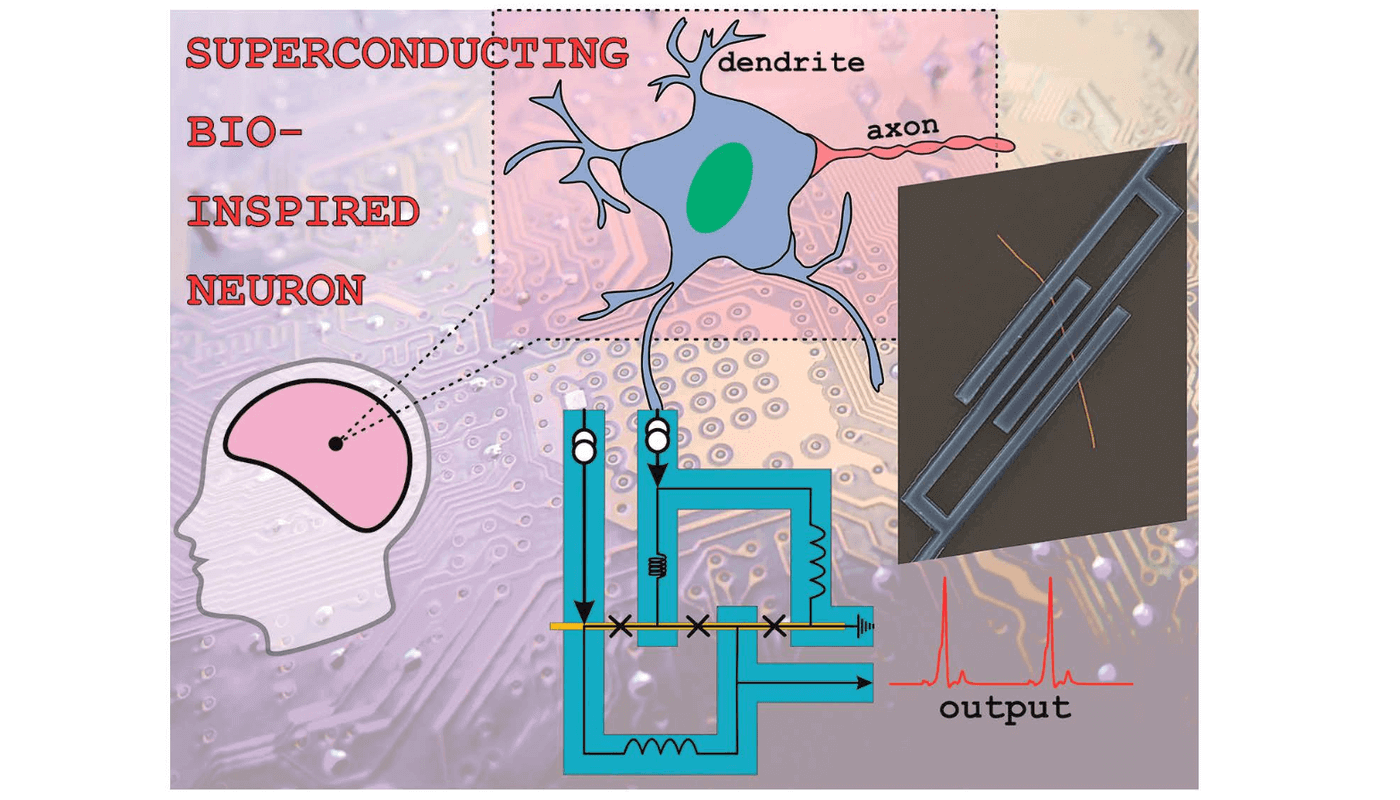 Superconducting Bio-Inspired Au-Nanowire-Based Neurons