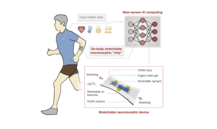 Intrinsically stretchable neuromorphic devices Ai