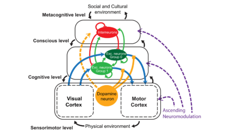 Multilevel development of cognitive abilities