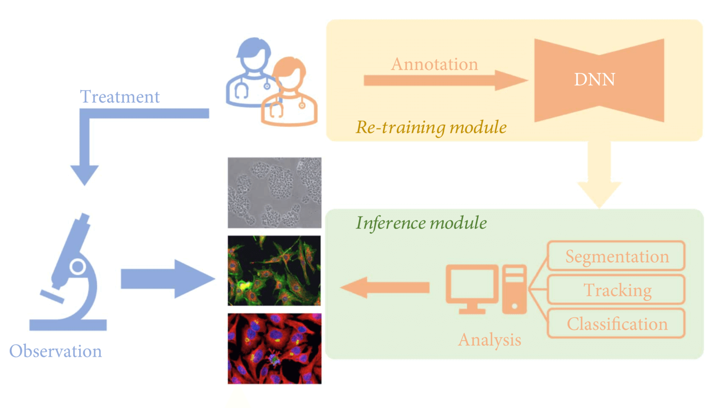 Cell Image Analysis Deep Learning