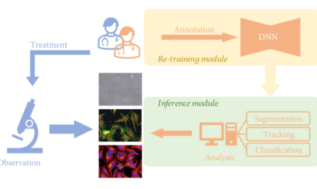Cell Image Analysis Deep Learning