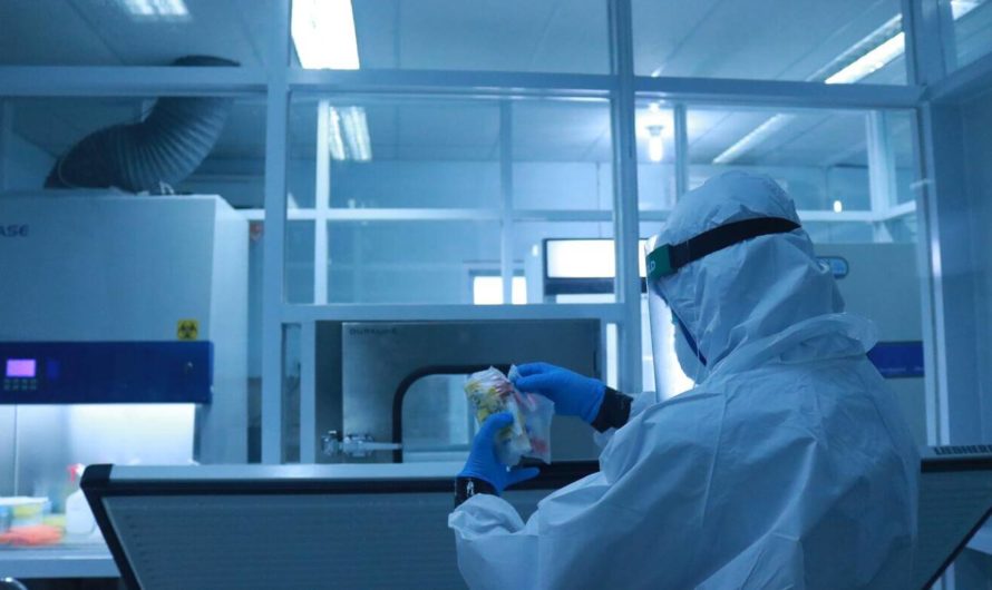Российские учёные изобрели ДНК-робота для обнаружения вирусов