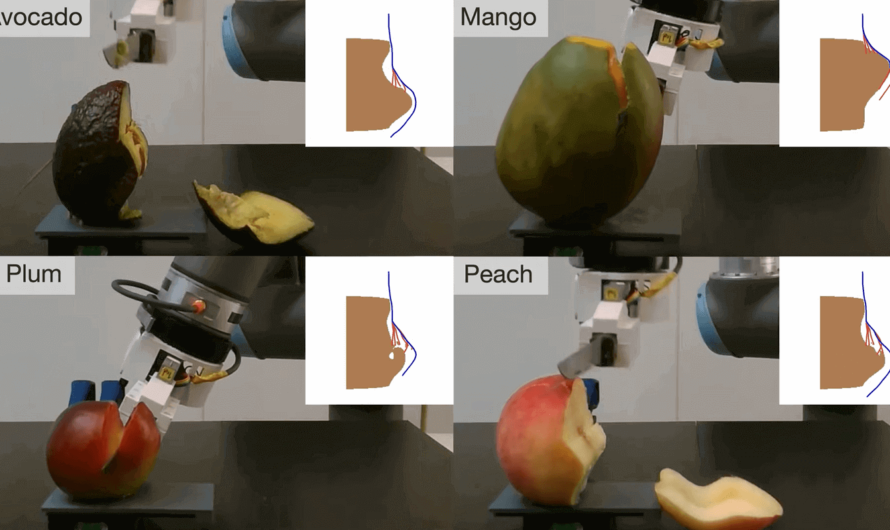 Роботов научили срезать мякоть с авокадо, манго и персиков