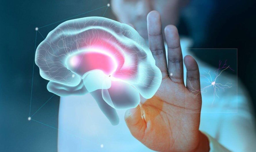 Искусственный интеллект научился выявлять нарушения в мозге по снимкам МРТ