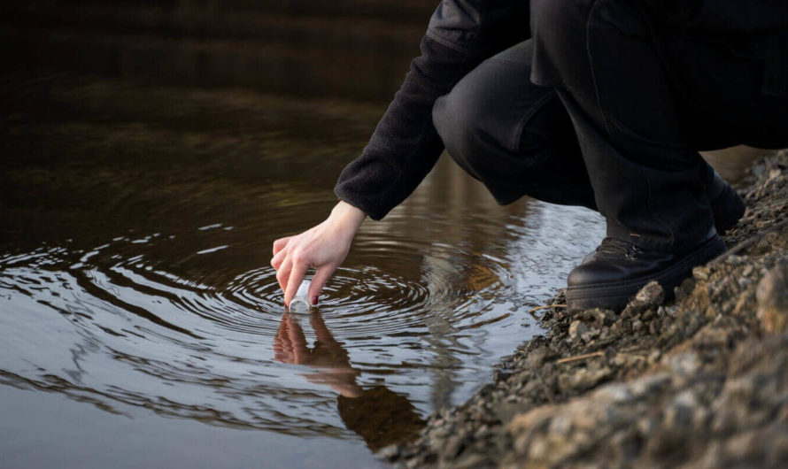 Нейросеть помогла создать экономичный биосорбент для очистки воды