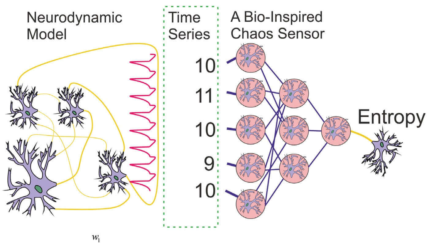 Bio Inspired Chaos Sensor