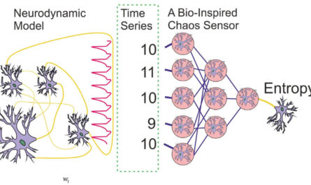 Bio Inspired Chaos Sensor